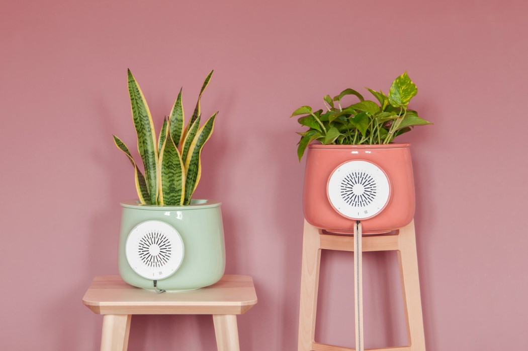 air cleaner，Botany，green，innovate，