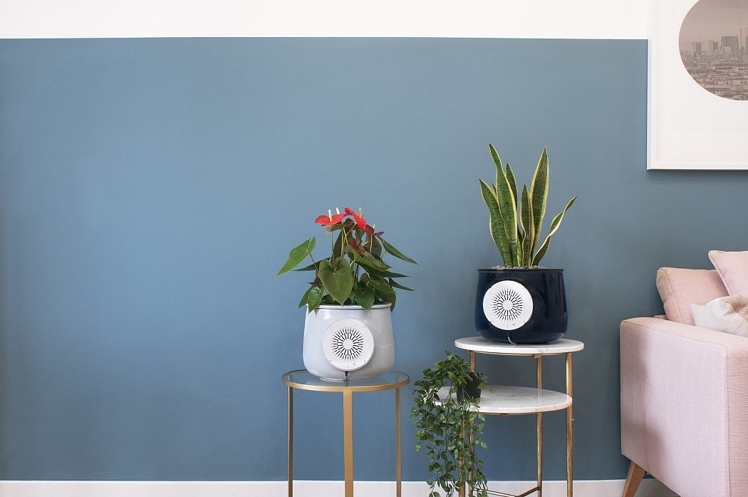 air cleaner，Botany，green，innovate，