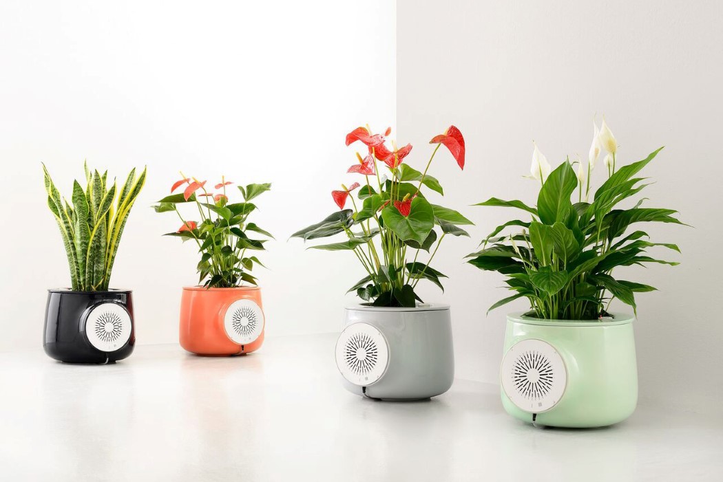 air cleaner，Botany，green，innovate，