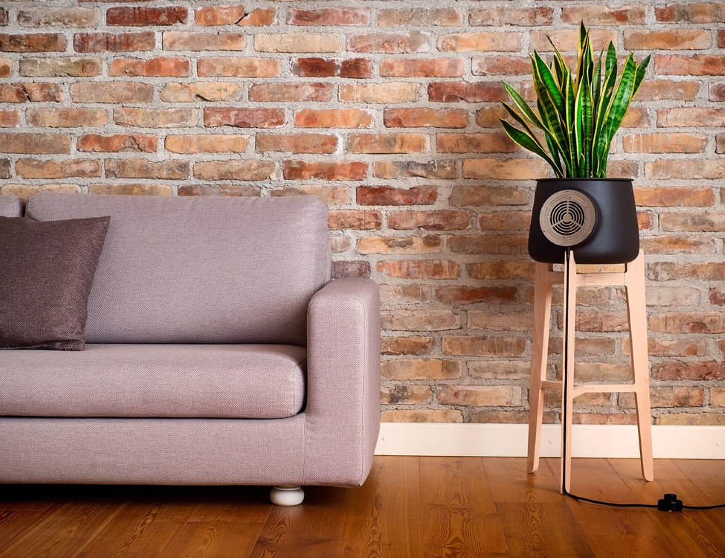 air cleaner，Botany，green，innovate，