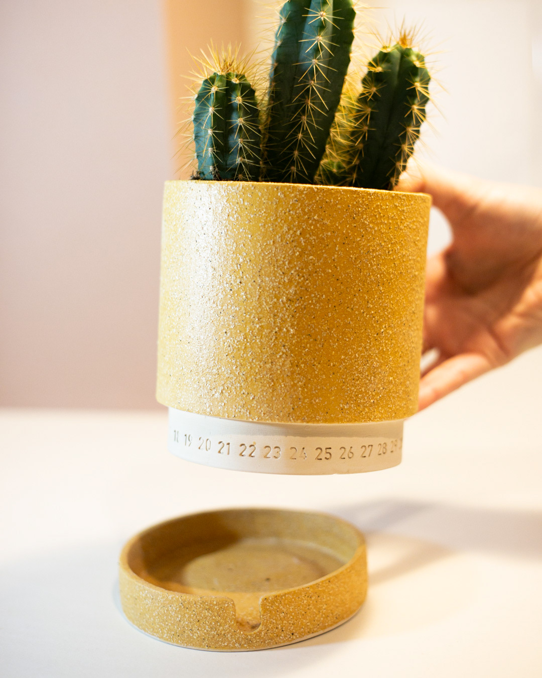 Flower Disk，seeder，Handmade ceramics，