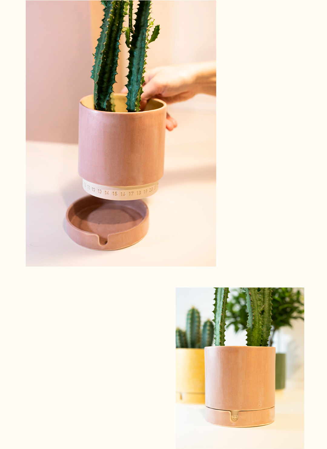 Flower Disk，seeder，Handmade ceramics，