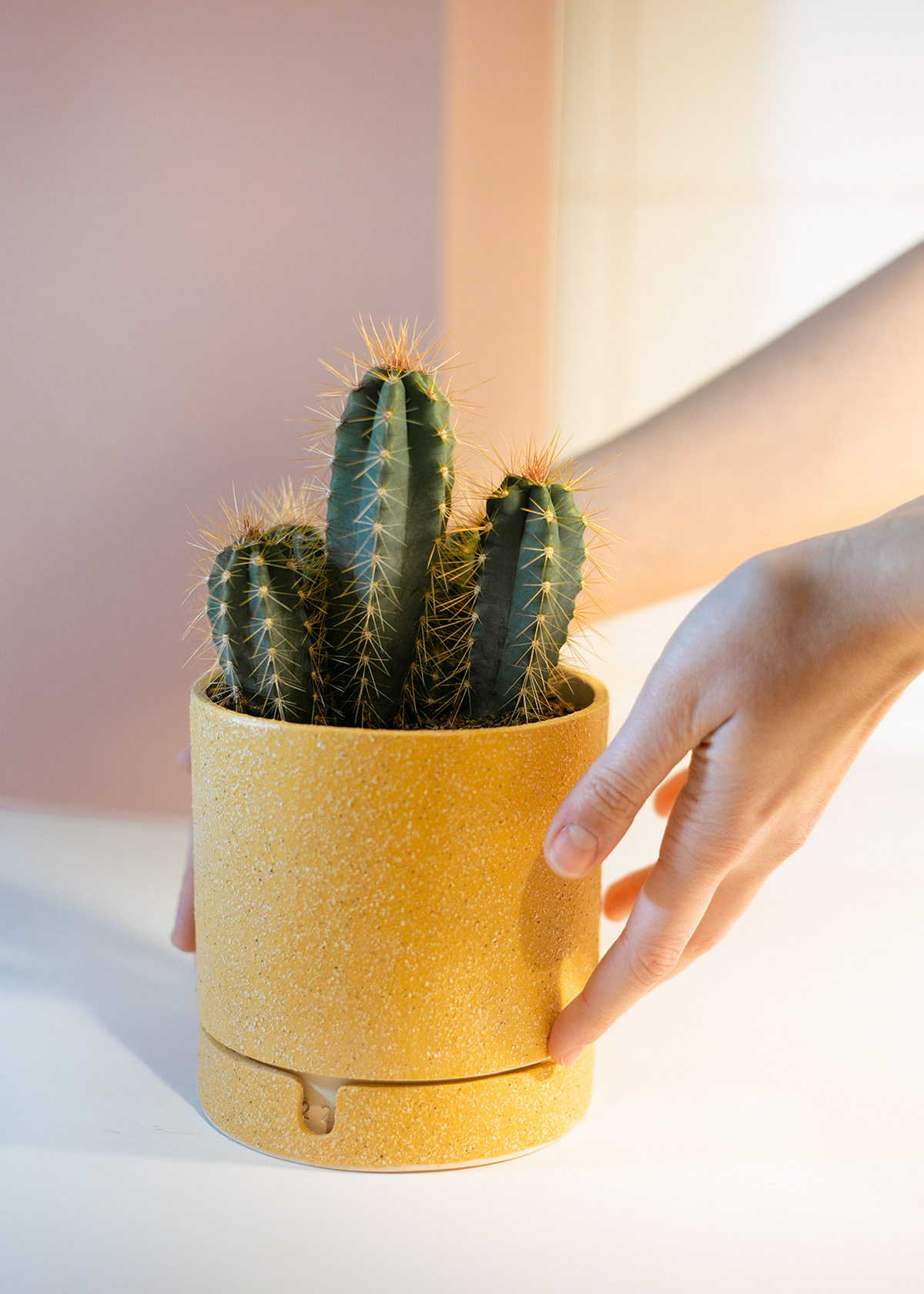 Flower Disk，seeder，Handmade ceramics，