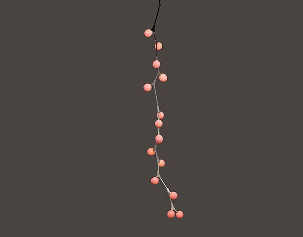 branch，fruit，lamp，originality，Design，