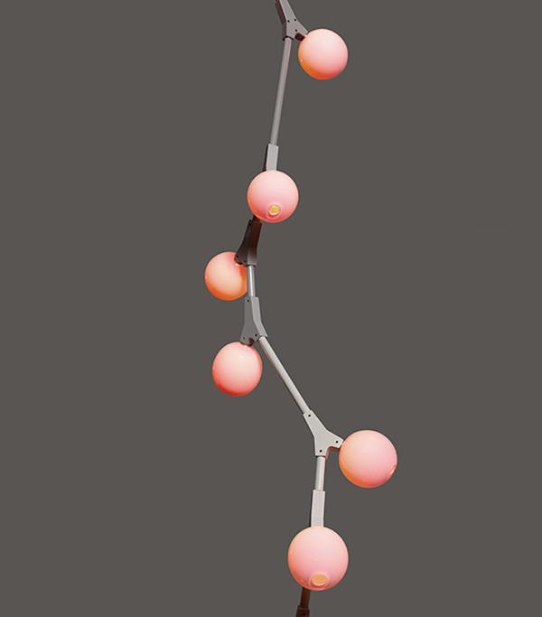 branch，fruit，lamp，originality，Design，