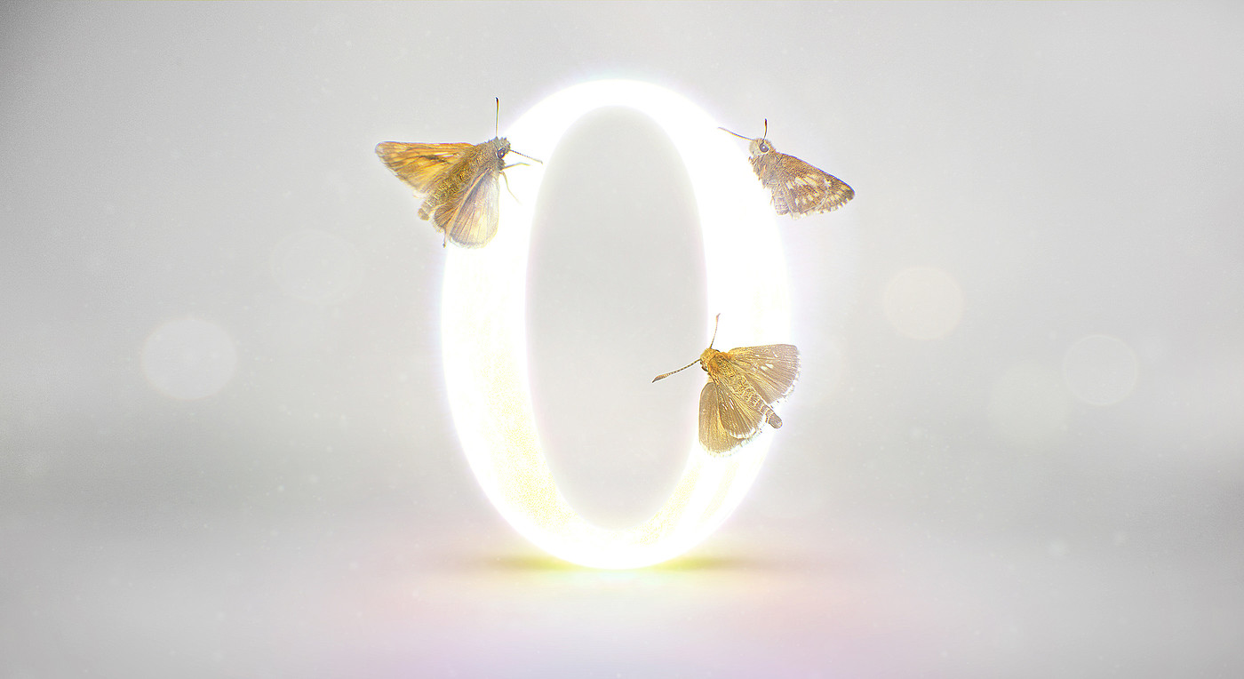 insect，number，