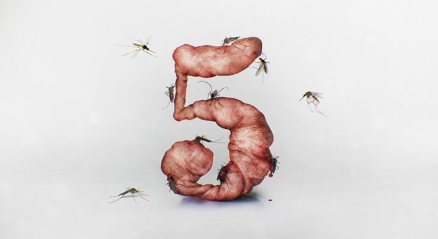 insect，number，