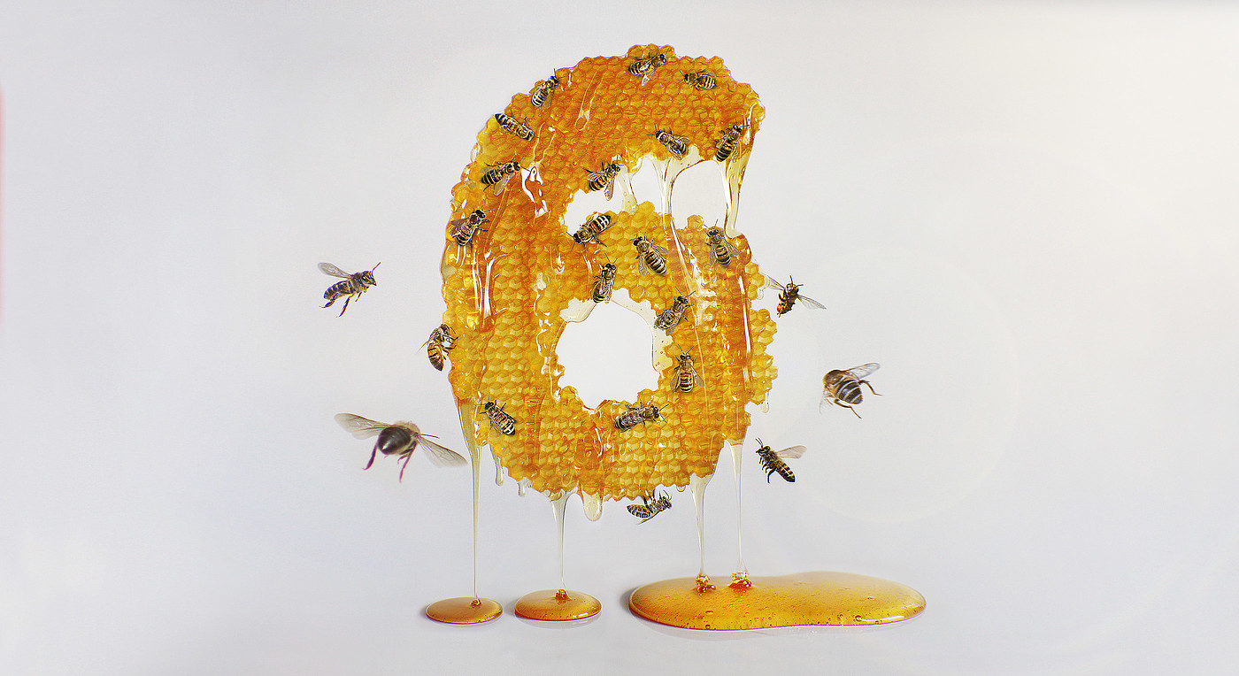 insect，number，