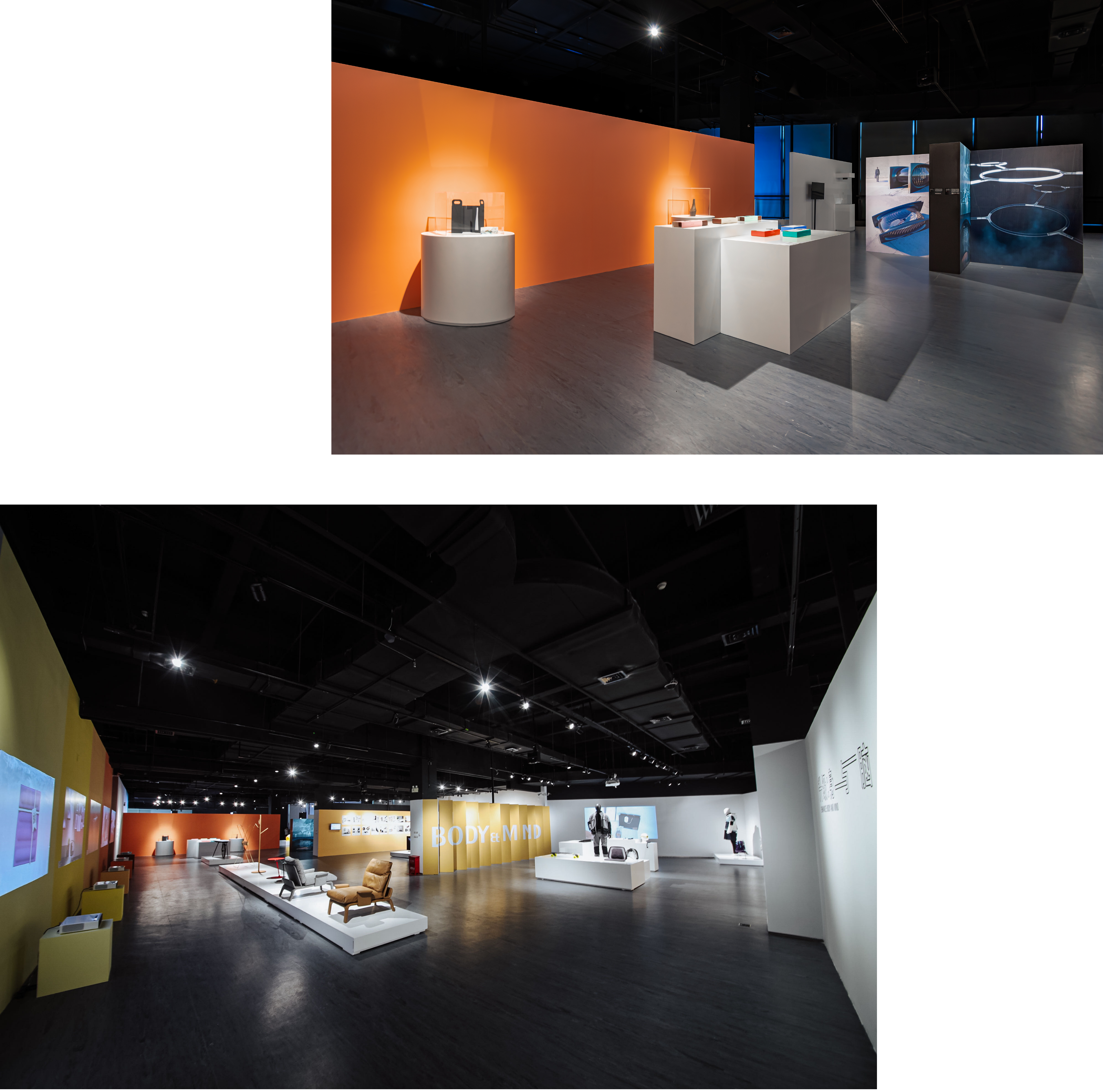 activity，exhibition，