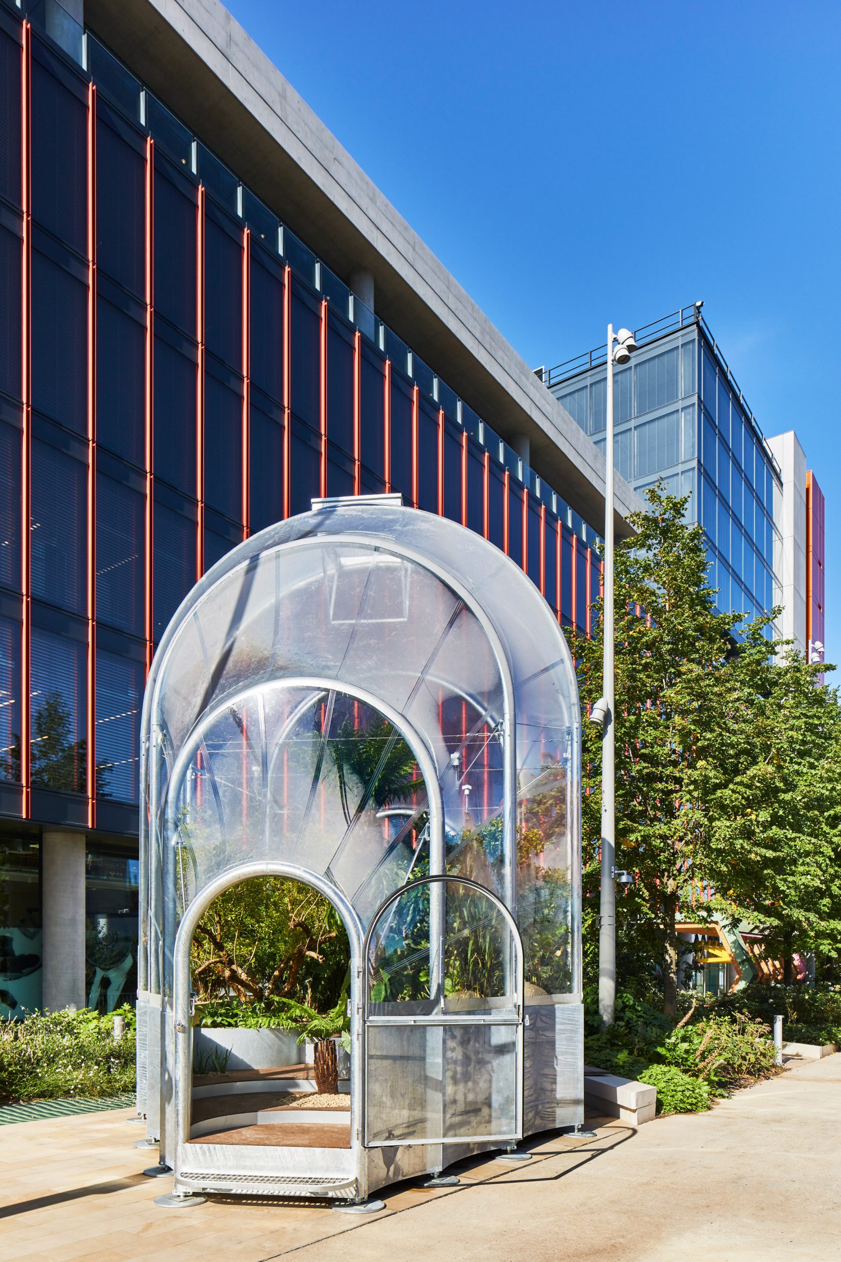 Tropical plants，greenhouse，Fruits，