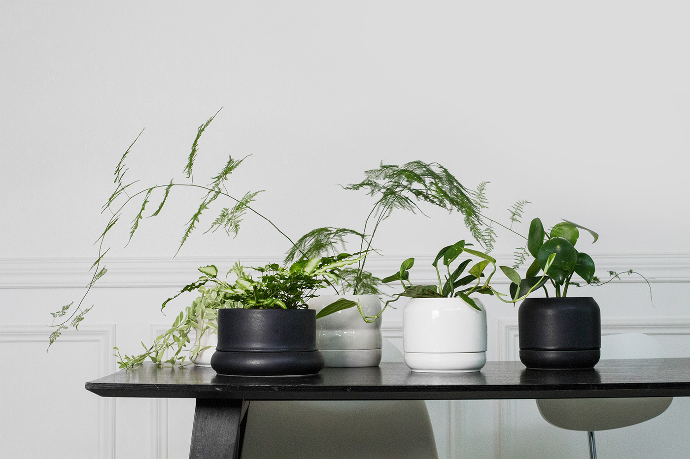 ceramics，plate，Flowerpot，