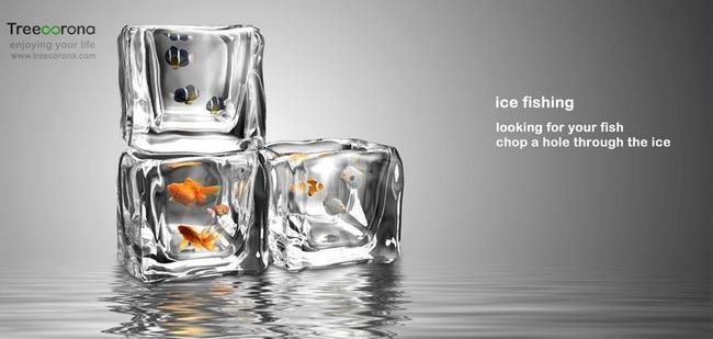 Ice cube，fish tank，originality，Design，tool，equipment，