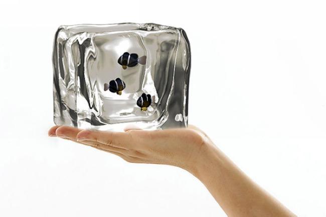 Ice cube，fish tank，originality，Design，tool，equipment，
