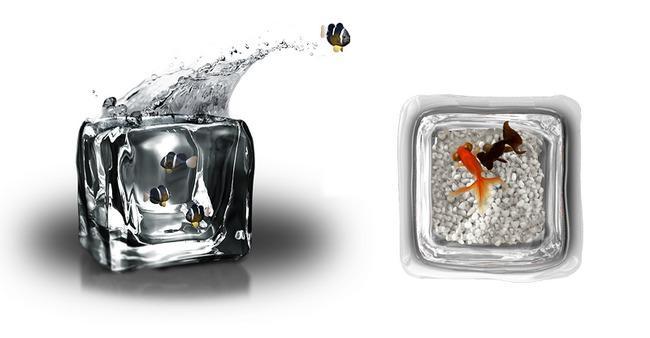 Ice cube，fish tank，originality，Design，tool，equipment，