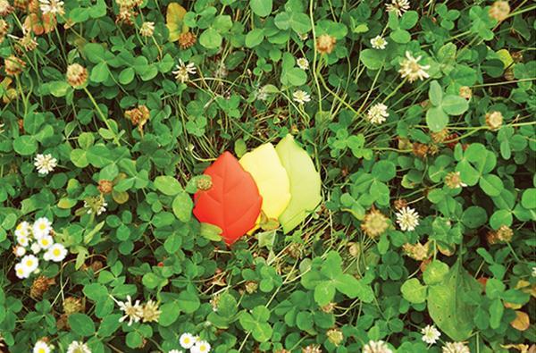 kiss，natural，leaf，Portable cup，originality，Design，tool，