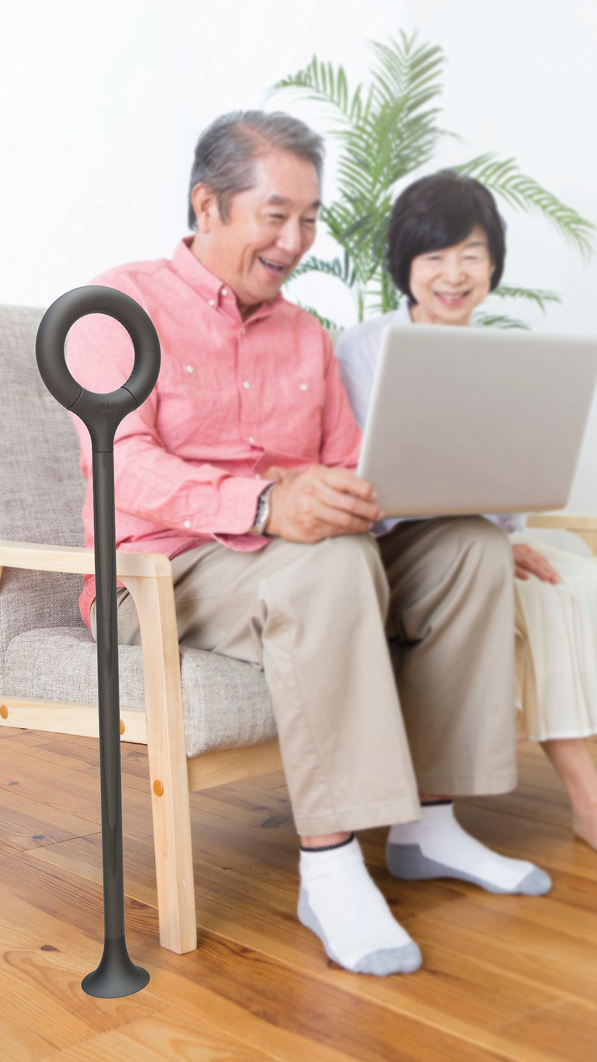 apple，Leatherwear，a cane，Ergonomics，parts，