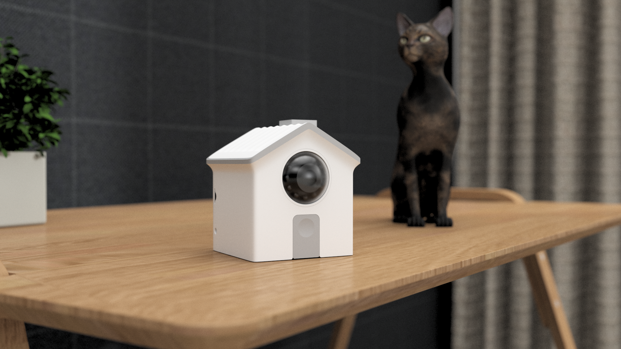 camera，Pet toys，