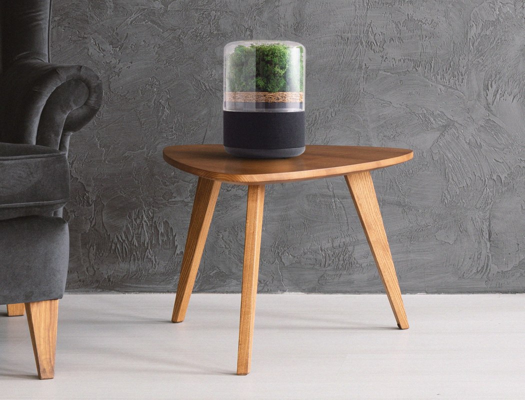 air cleaner，green，indoor，natural，