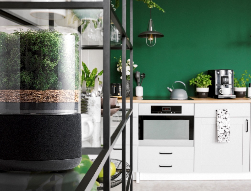 air cleaner，green，indoor，natural，