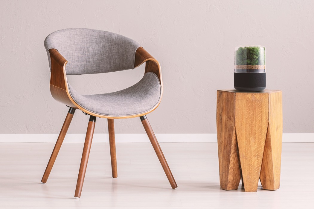 air cleaner，green，indoor，natural，