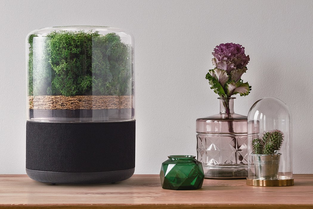 air cleaner，green，indoor，natural，