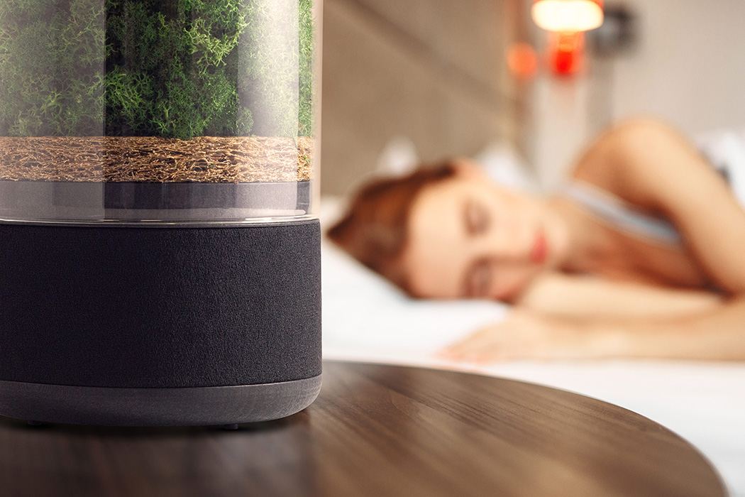 air cleaner，green，indoor，natural，