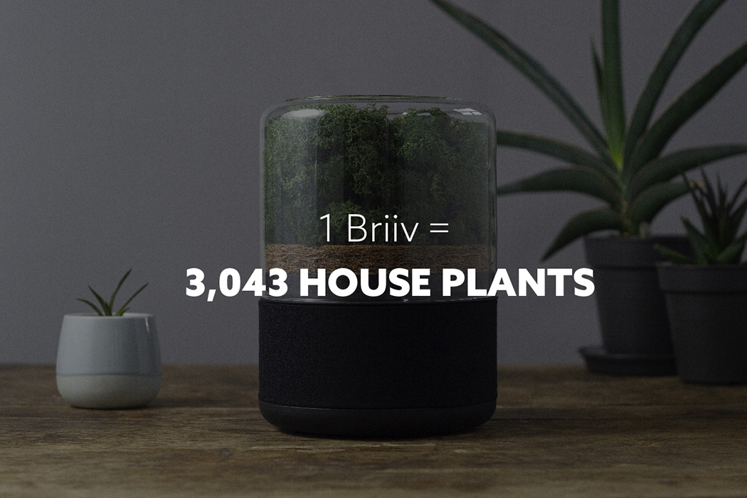 air cleaner，green，indoor，natural，