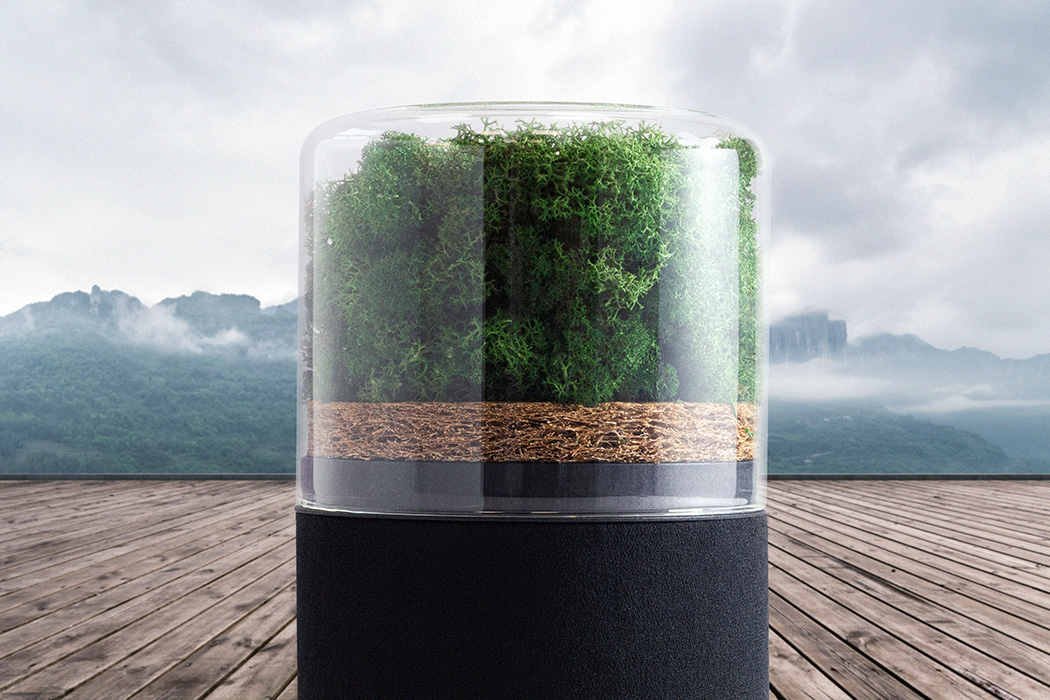 air cleaner，green，indoor，natural，