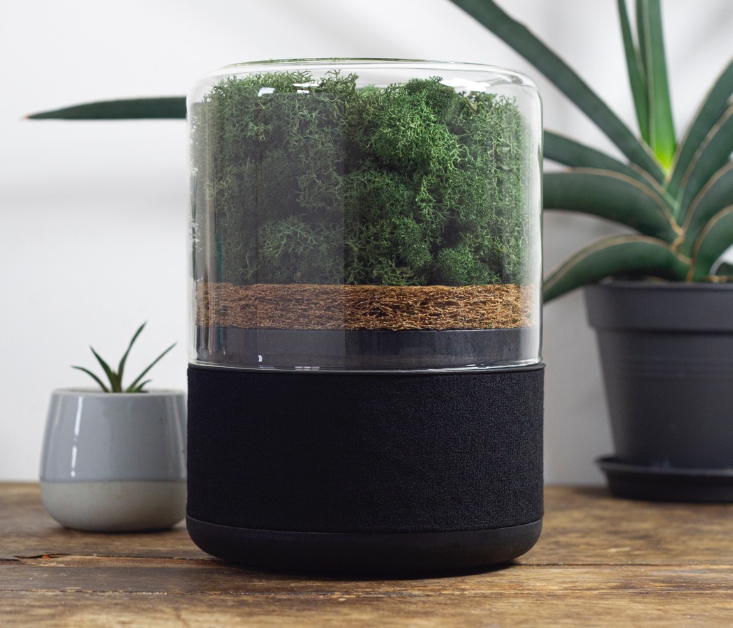 air cleaner，green，indoor，natural，