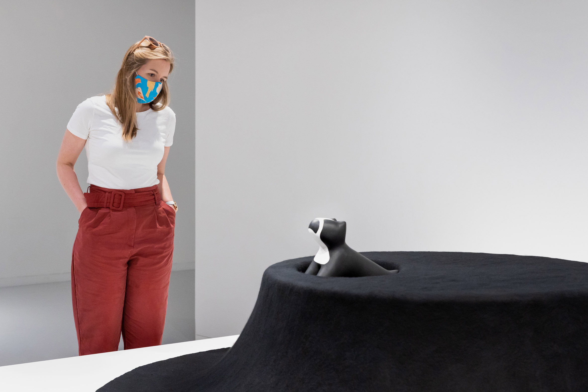 Table，felt，dog，Dimple，