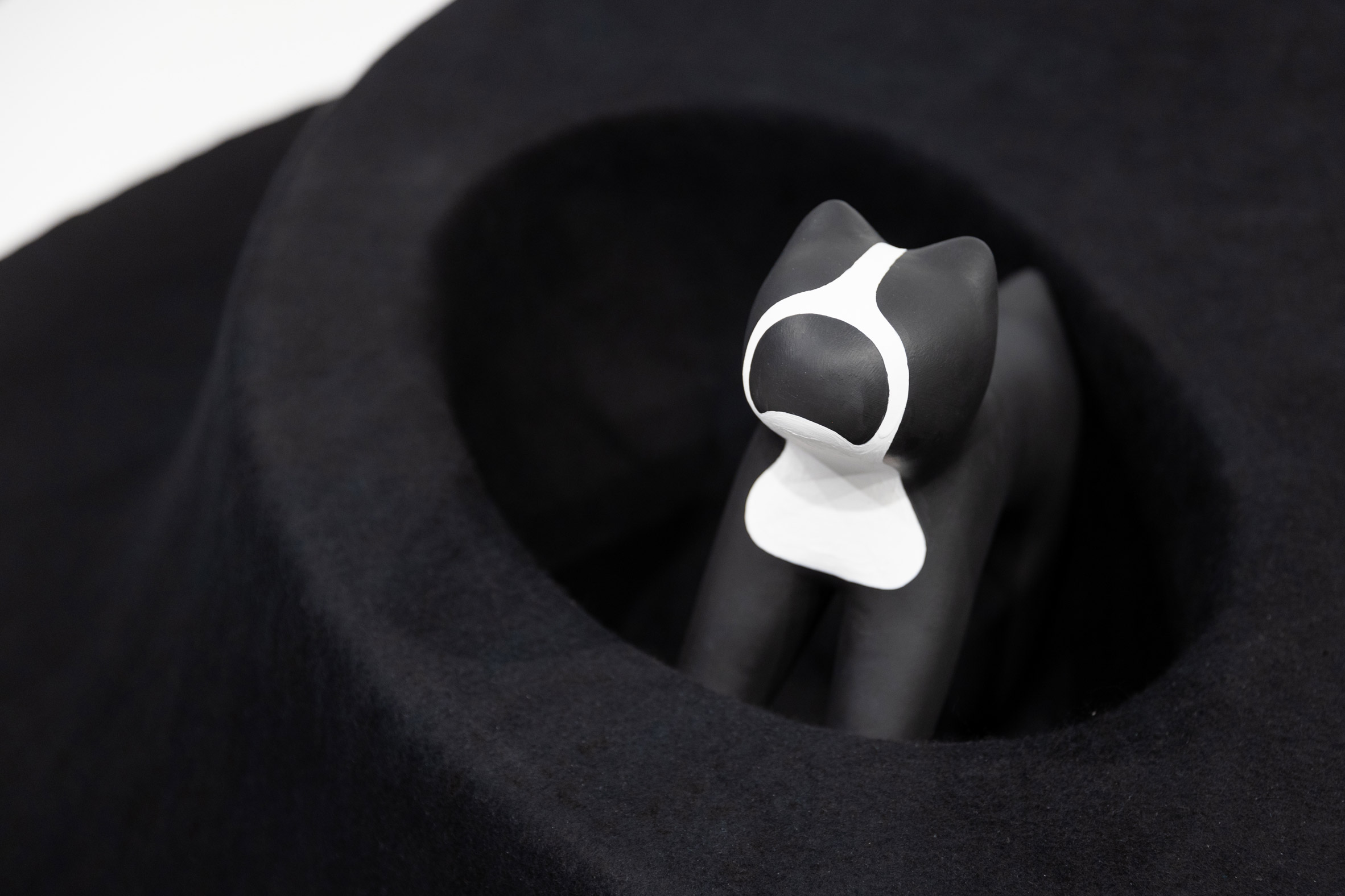 Table，felt，dog，Dimple，