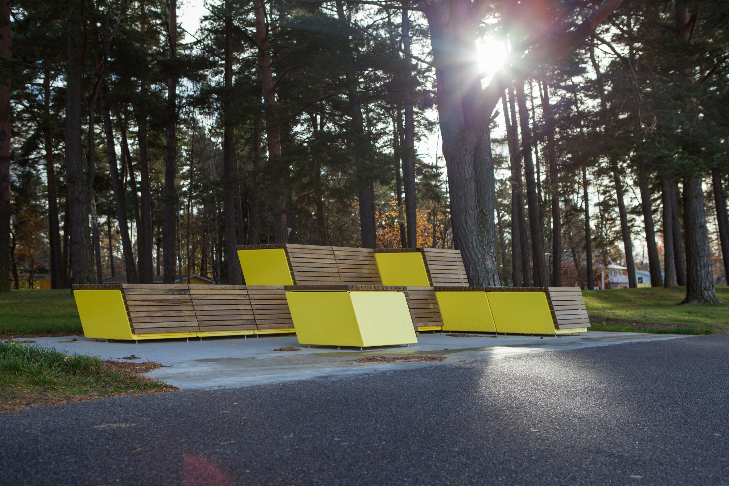 bench，Flowerpot，Green plant，city，