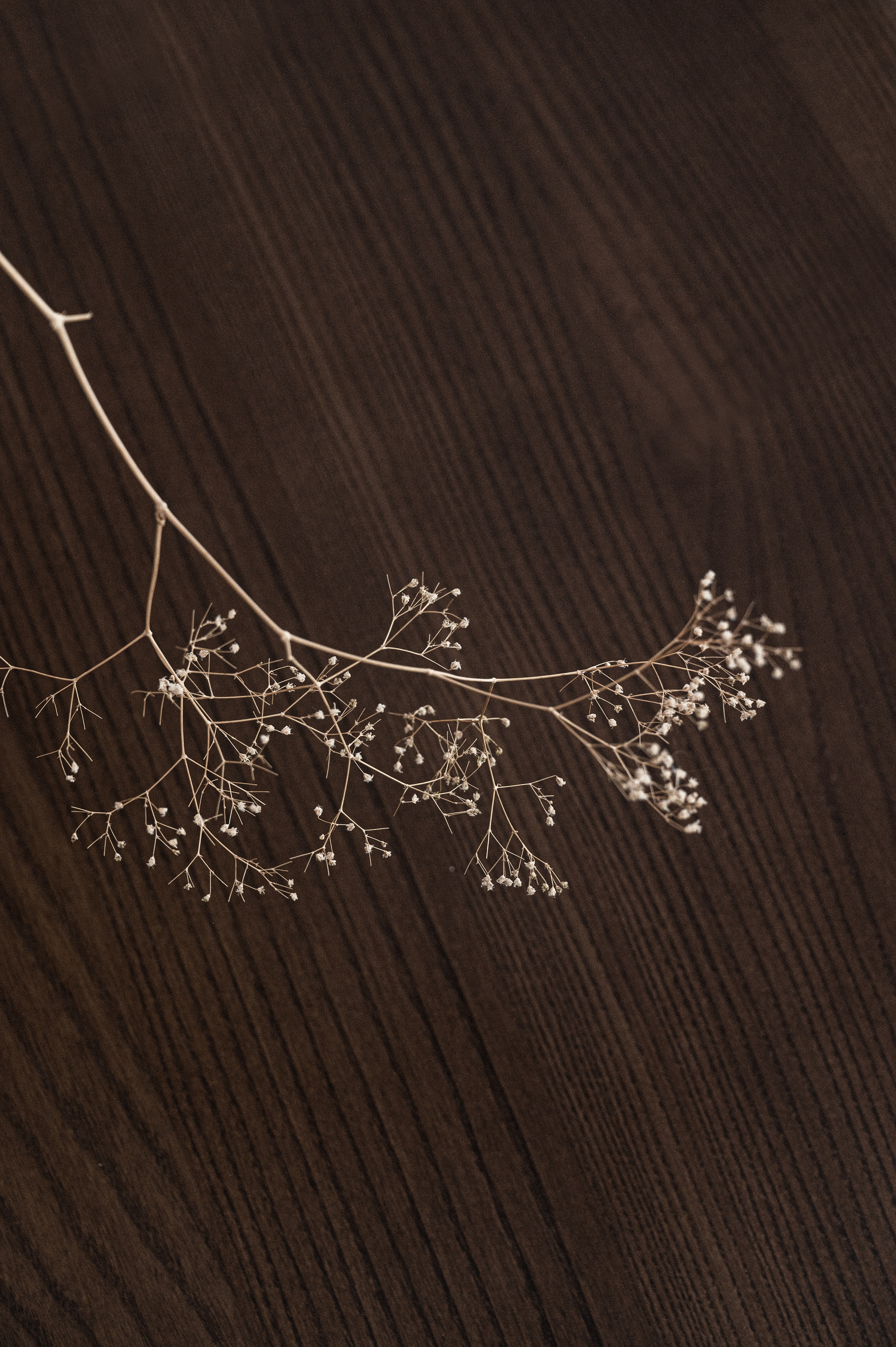 furniture design ，chair，woodwork，Chinese style，