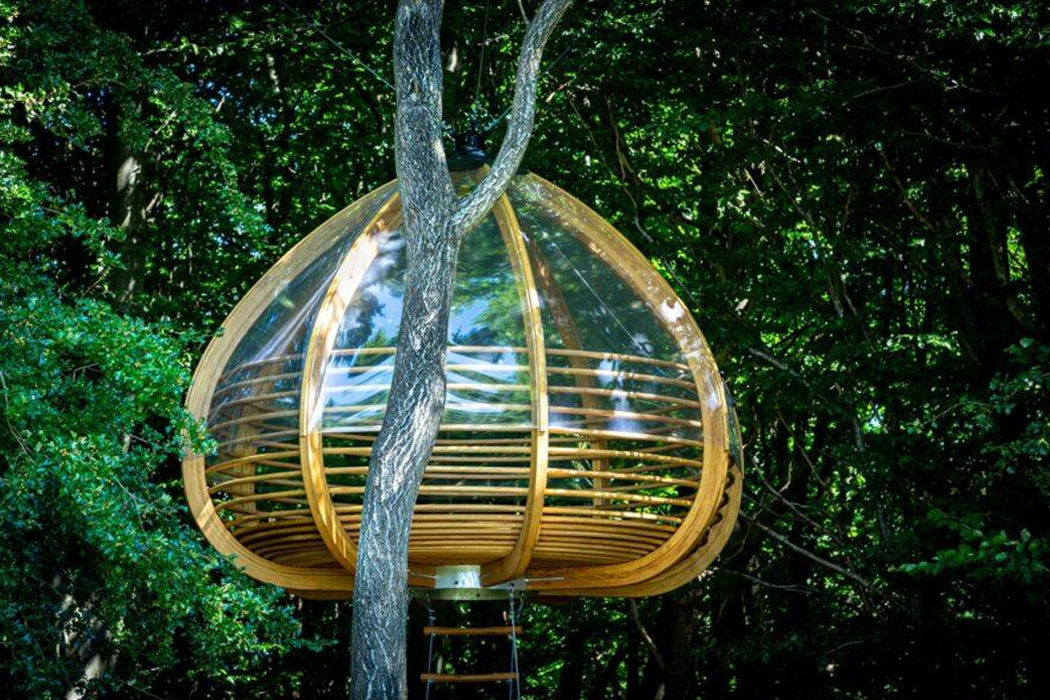 Tree House，Denmark，oak，get accommodation，Shipbuilding Technology，