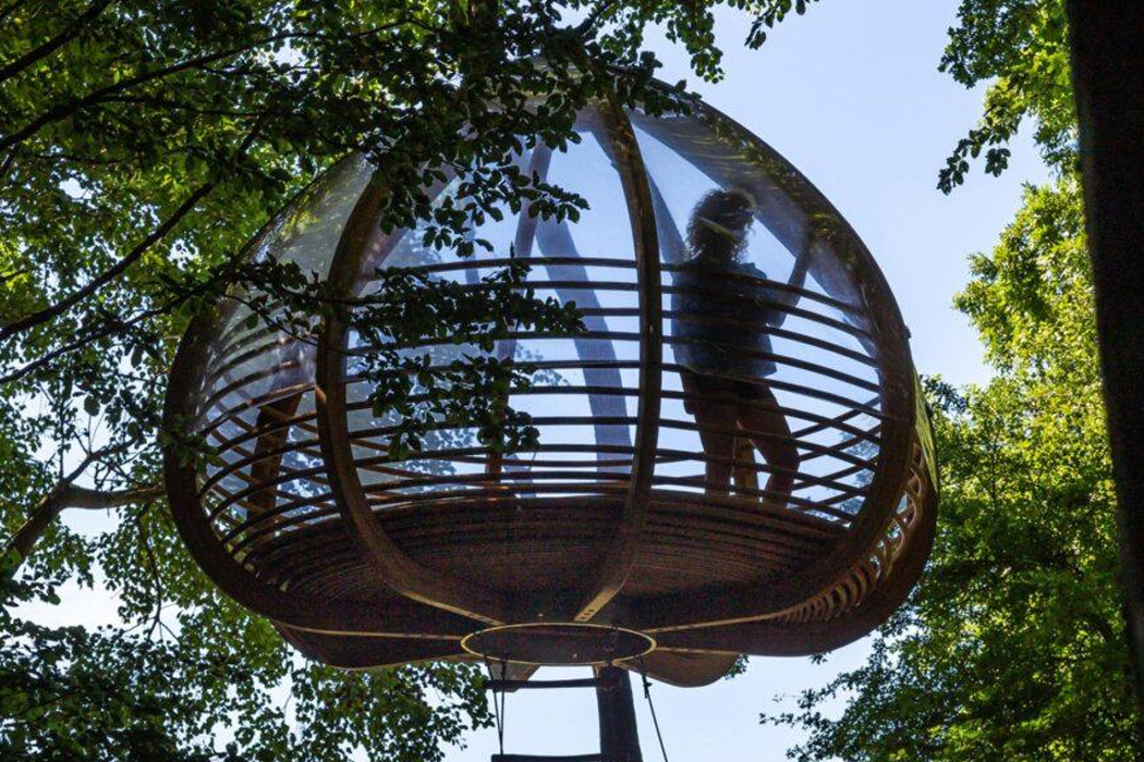 Tree House，Denmark，oak，get accommodation，Shipbuilding Technology，