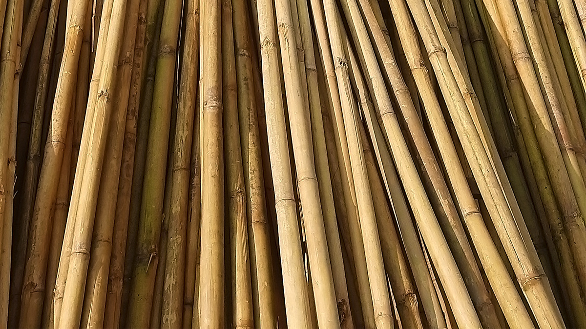 lamp，maple leaves，leaf，Sculpture，