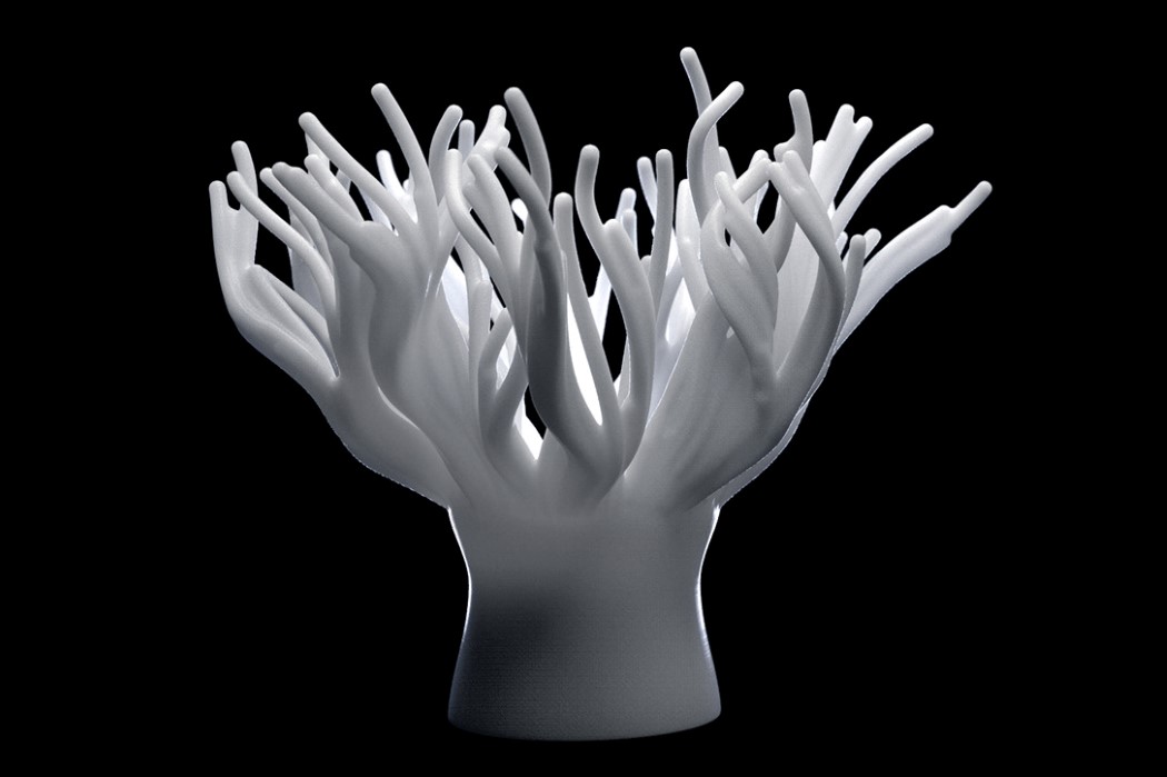 lamp，Desk lamp，Coral，grow，