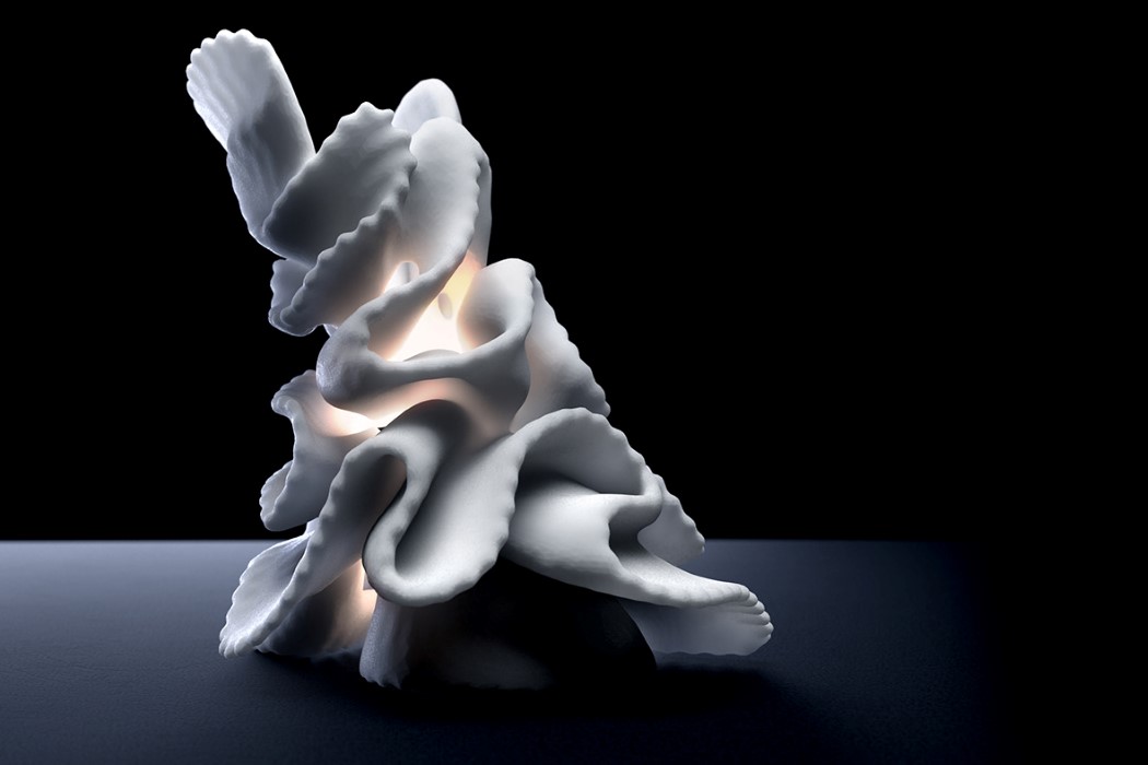 lamp，Desk lamp，Coral，grow，