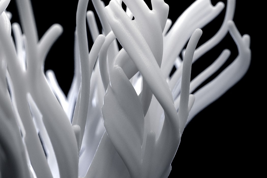 lamp，Desk lamp，Coral，grow，