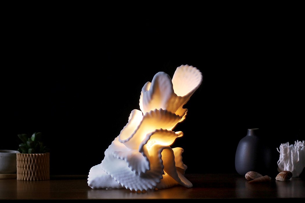 lamp，Desk lamp，Coral，grow，