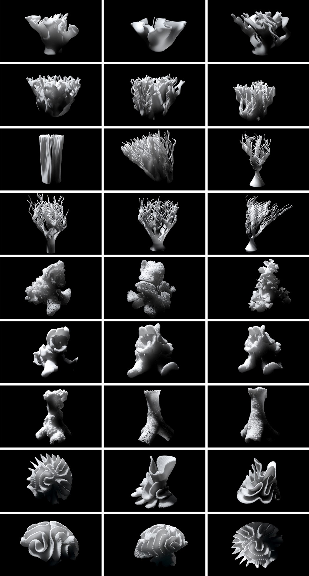 lamp，Desk lamp，Coral，grow，