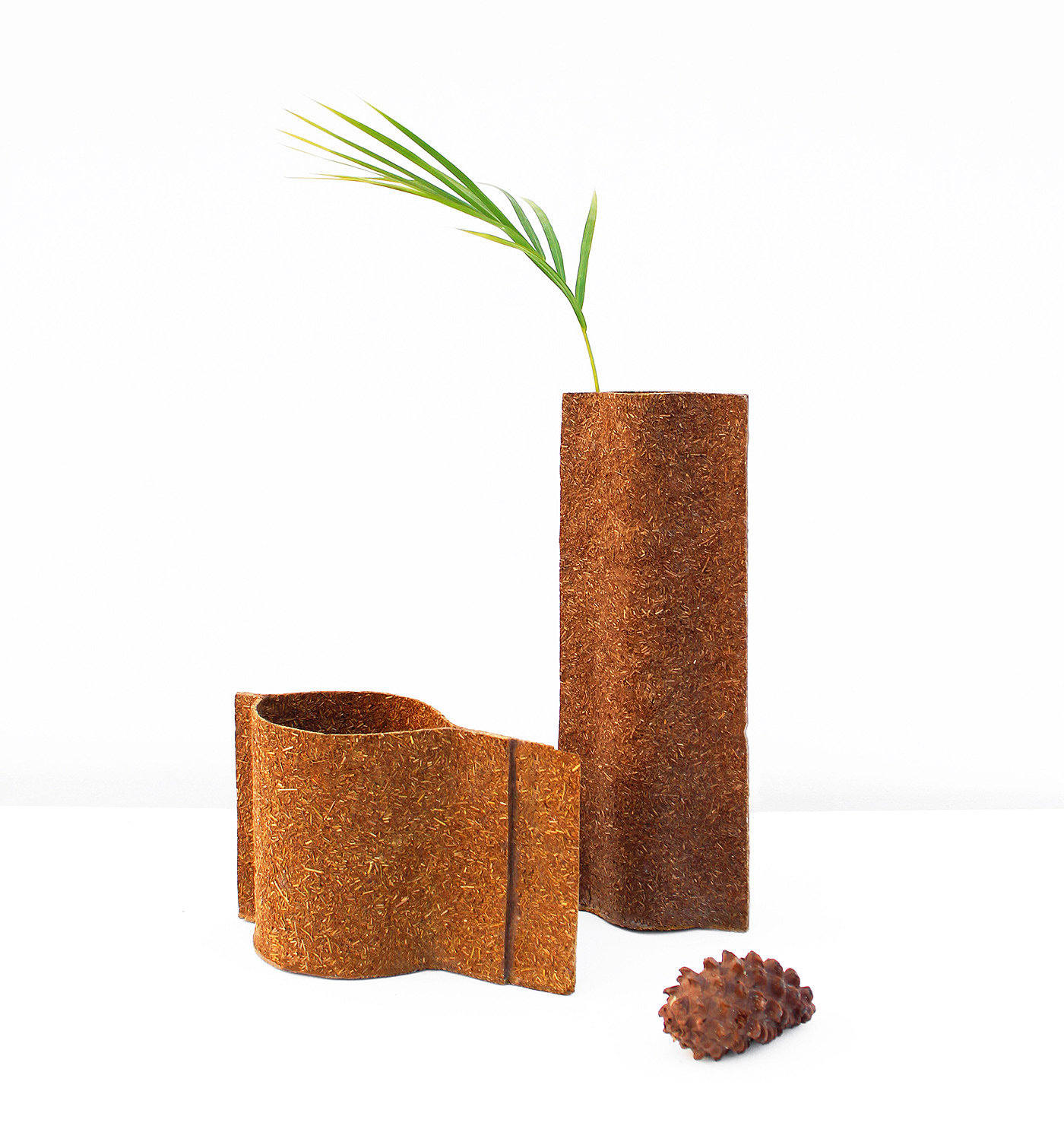 Pine needle，Bioplastics，sustainable development，