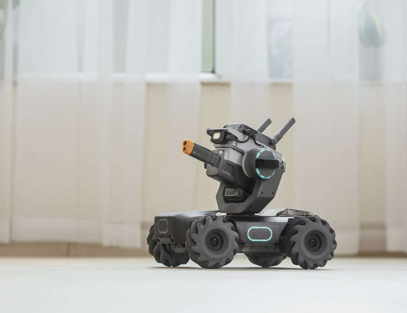 DAY，programming，education，study，robot，