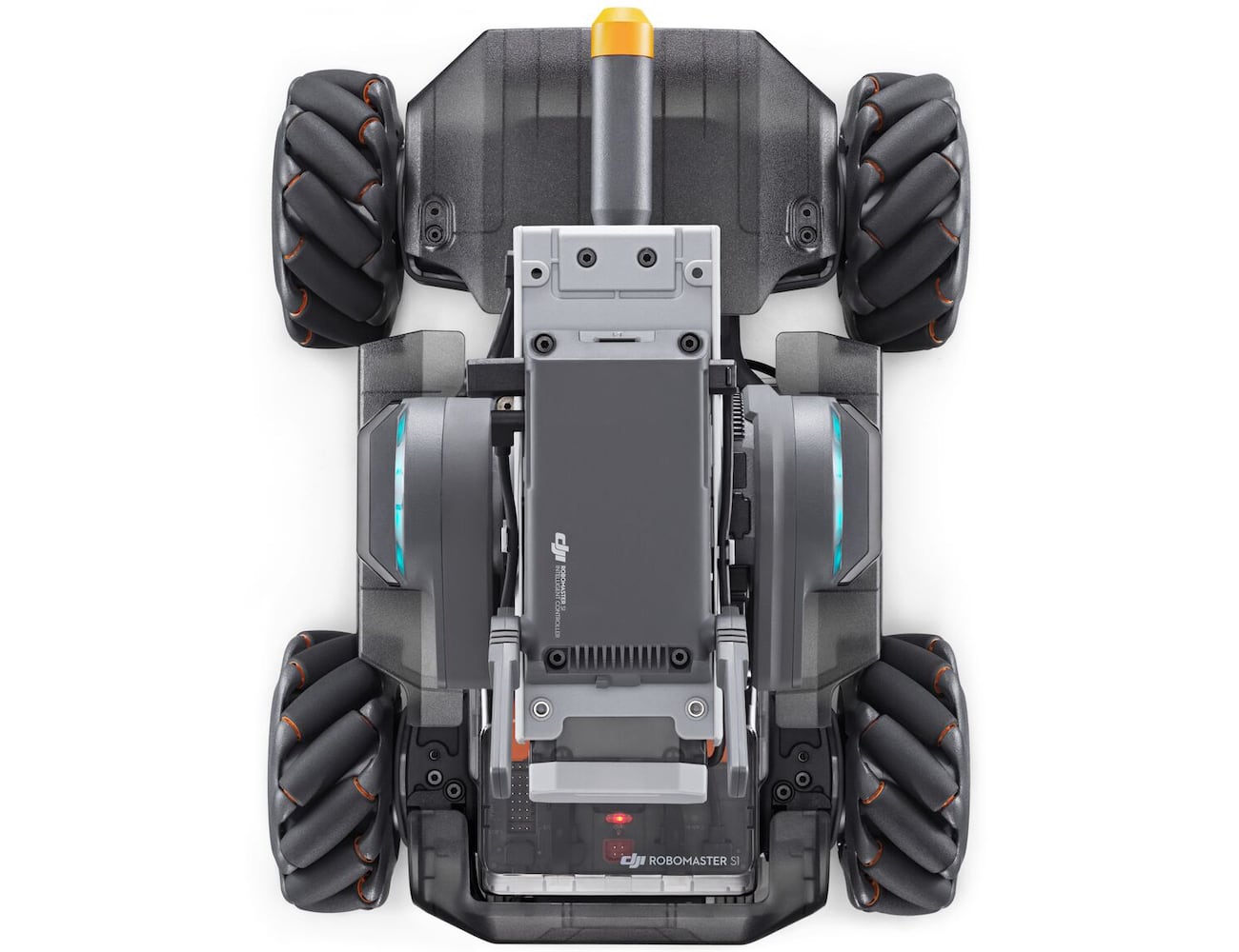 DAY，programming，education，study，robot，