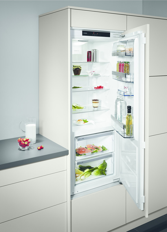 AEG，household electrical appliances，an electric appliance，Import，