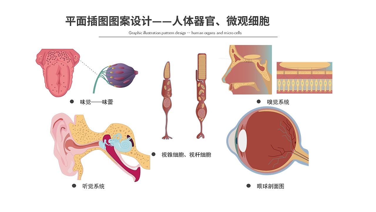 美院工业设计仔，