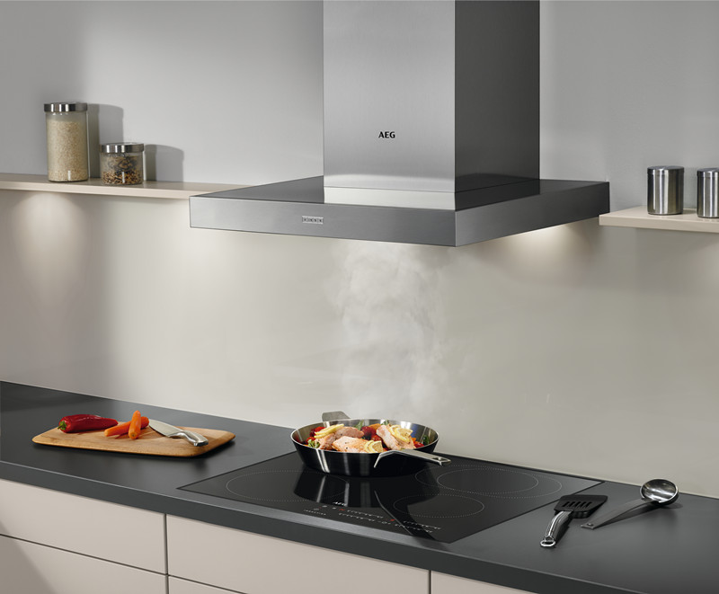 AEG，household electrical appliances，an electric appliance，Import，