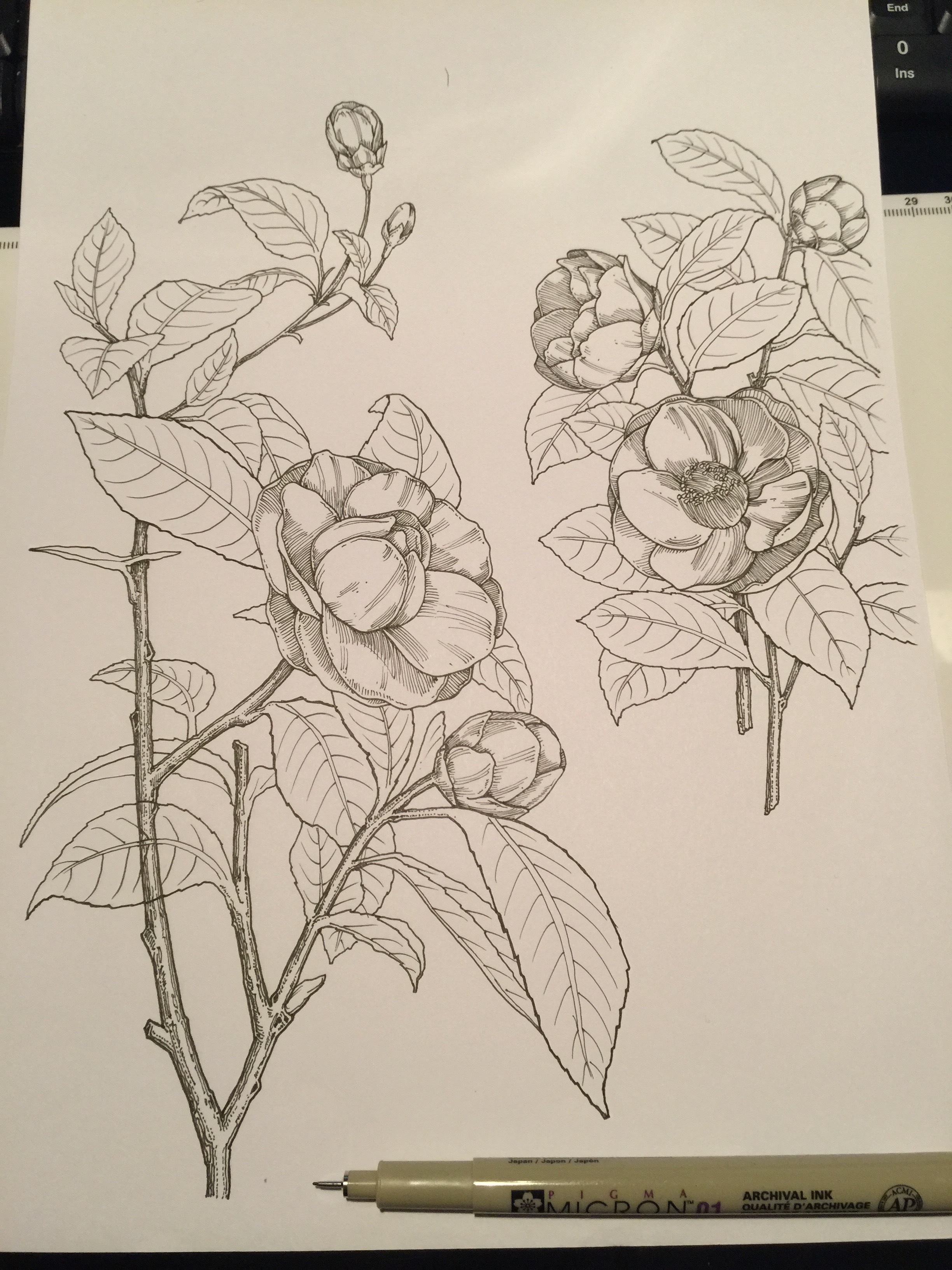 Hand drawn，packing design，Innovative design，Traditional hand painting，Line drawing，Five stone design，Five stones，Mask design，product design，