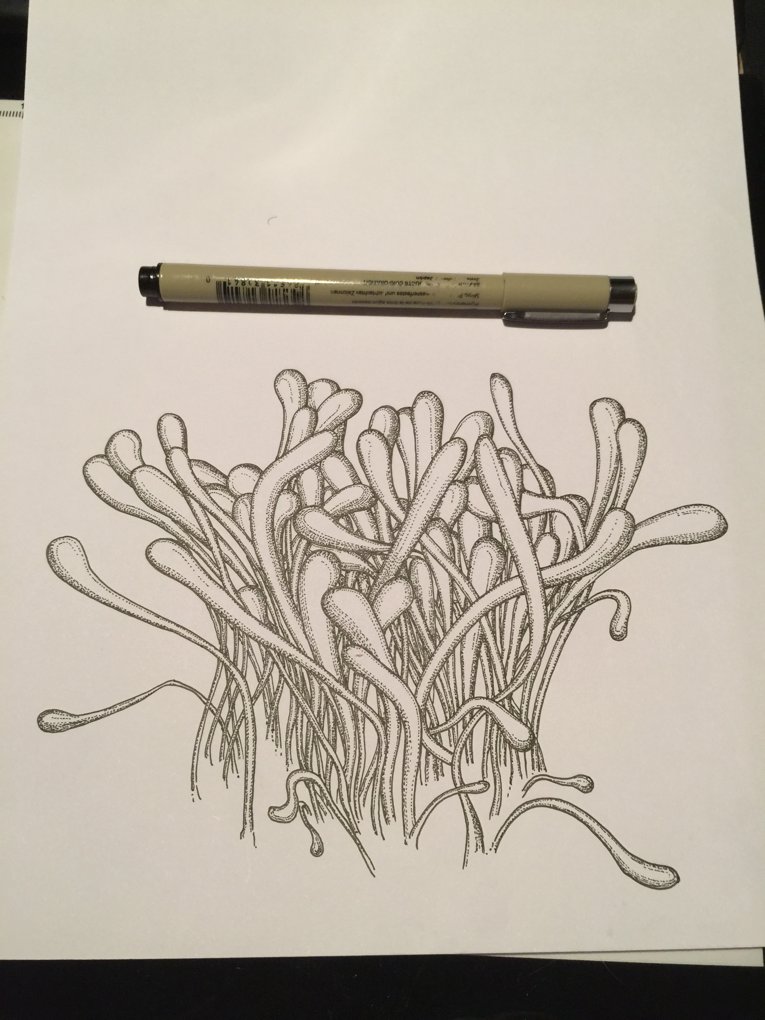 Hand drawn，packing design，Innovative design，Traditional hand painting，Line drawing，Five stone design，Five stones，Mask design，product design，