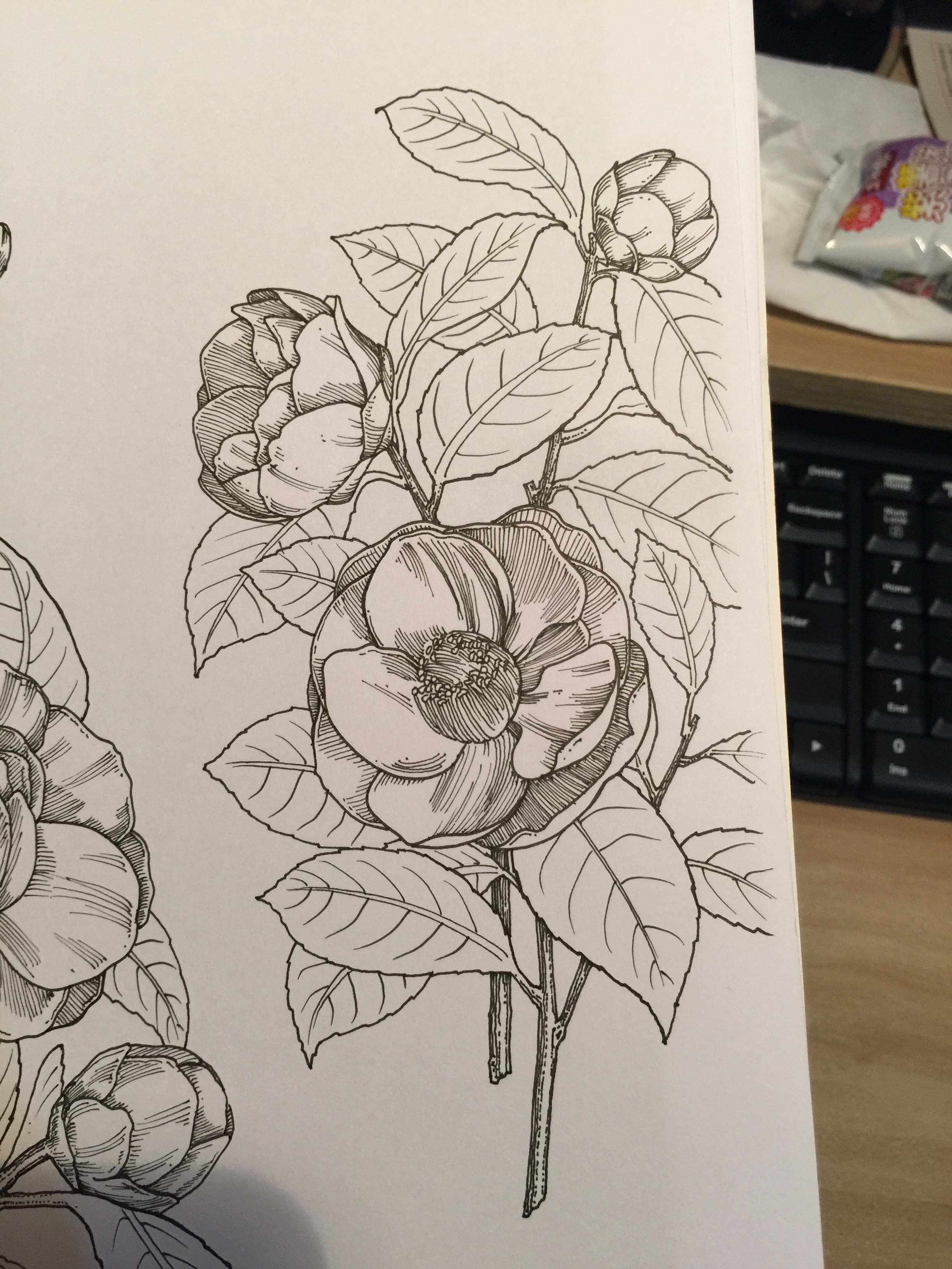 Hand drawn，packing design，Innovative design，Traditional hand painting，Line drawing，Five stone design，Five stones，Mask design，product design，